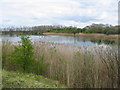 Lakes at Brickworks near Yaxley