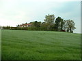SJ5666 : House and farmland near Delamere by David Medcalf