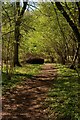 Footpath near Andover Down