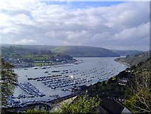 SX8851 : Dartmouth Harbour from Kingswear by Richard Knights
