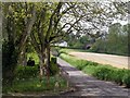 Entrance to Borough Farm on the road to Stoke Charity