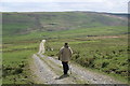 SJ0000 : Track near Mynydd Dwyriw by Peter Standing