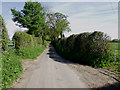 Lane at Nefod near St. Martins Moor