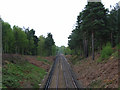 Railway, north of Bagshot