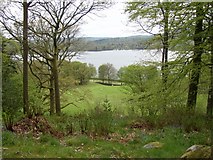 NY3702 : View from Stagshaw Garden over pasture to Windermere, Ambleside by Humphrey Bolton