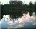 Queens Park viewed from across the lake