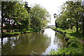 Chesterfield Canal