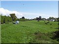 Field, Sedbury Park