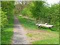 Bench in Wynyard Woodland Park