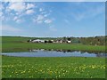 Pond at Blackwater Farm