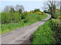 H6959 : The road at Killeeshil by Kenneth  Allen