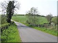 Ballynapottoge Townland