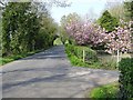 Road at Ballynanny