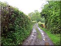 Green Lane near Cwm Farm