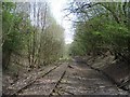 ST7350 : Disused Railway just below Newbury Hill, yet to be finished off as National Cycleway 24 by Graham Allard