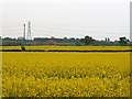 Farmland near Thurlaston, Leicestershire