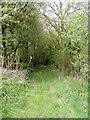 Bridleway leading to Pwll Goronwy