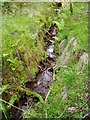 Brook near Wern-Henaidd