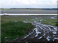 Muddy track on the estuary