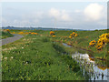 Road and drainage ditch alongside the Cefni river