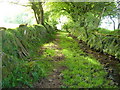 SX6758 : Green Lane near Wrangaton Moor Gate by Derek Harper