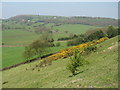 White Ley Bank, Fulstone