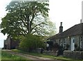 Cottages near Chance Inn