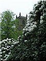 Holy Trinity Church, Rainow