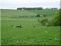 Peeblesshire farmland