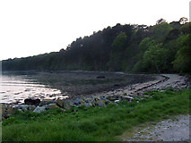 SH5270 : Anglesey shore at Pwll Fanogl by Nigel Williams