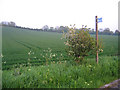 Slopes of Toot Hill, Orwell, Cambs