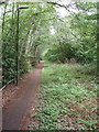 Cycle path and footway, north of Woking by A320