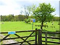 Pasture near Middlemoor Farm