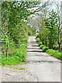 The lane from Halfpenny House to Barden