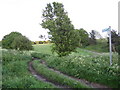 Benington: Road Used as a Public Path