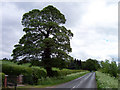 The Road to Saxby All Saints