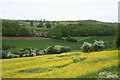 Fields at Dalton Parva