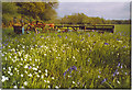 Farm Machinery in the Meadow.