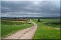 Track near Knighton