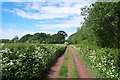 Track next to Honibere Wood, near Burton