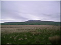 SD7069 : Newby Moor by Michael Graham
