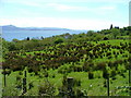 House overlooking The Sound of Sleat