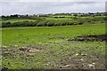 Pasture and Carn Meor Farm