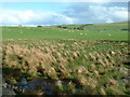 Farmland near Glasfryn