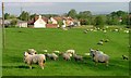 Public Footpath to Newby