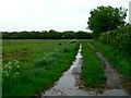 Bridleway to Gilberdyke