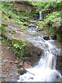 Waterfall at Fairy Glen, Appley Bridge