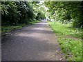 Cycleway through Housing Estates