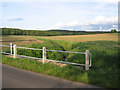 Valley from Appley Corner towards Rowney Warren, Beds