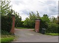 Pineapple gateposts